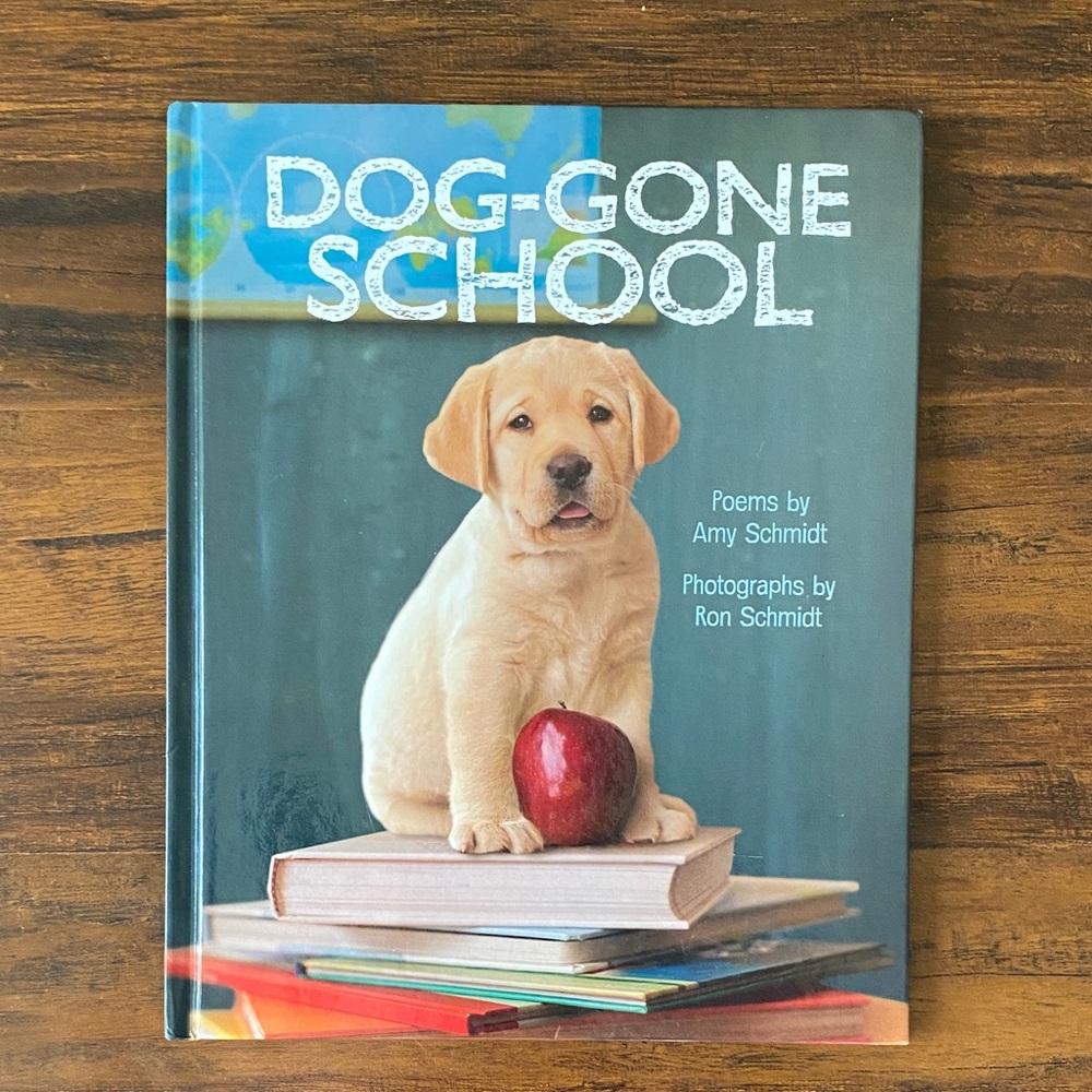 5/$10 Kids Picture Book | Dog-Gone School by Amy Schmidt